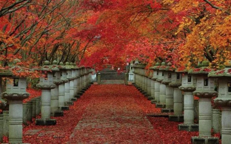 Kogen-ji Kogen-ji
